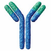 Antibody 3D illustration blue and green Y shaped