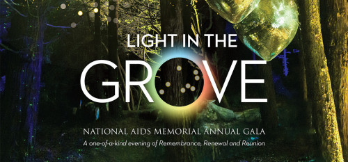 Light in the Grove