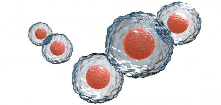 Stem cells on white bg