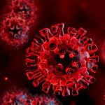 corona virus covid-19
