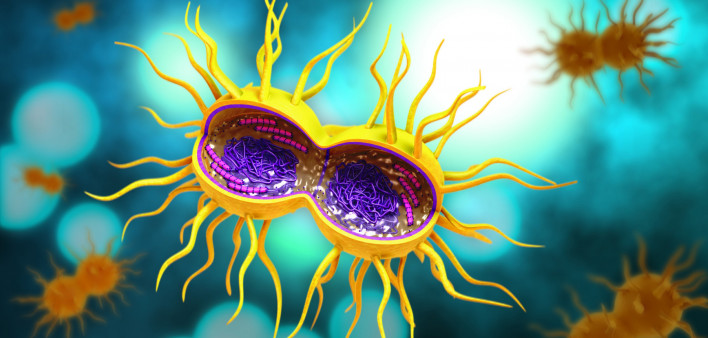 Std Pictures Of Gonorrhea
