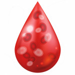 illustration blood drop blood cells