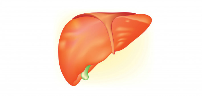 Resources for Liver Cancer - Cancer Health
