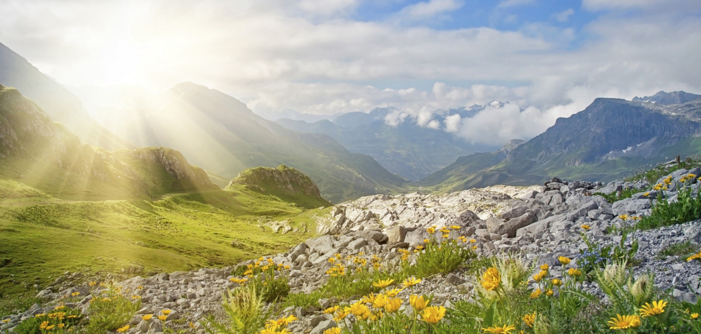 Book Review: This Is Your Brain On Nature