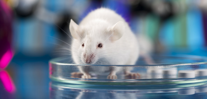 buy compounded tirzepatide online Compounded Tirzepatide (GLP-1/GIP)