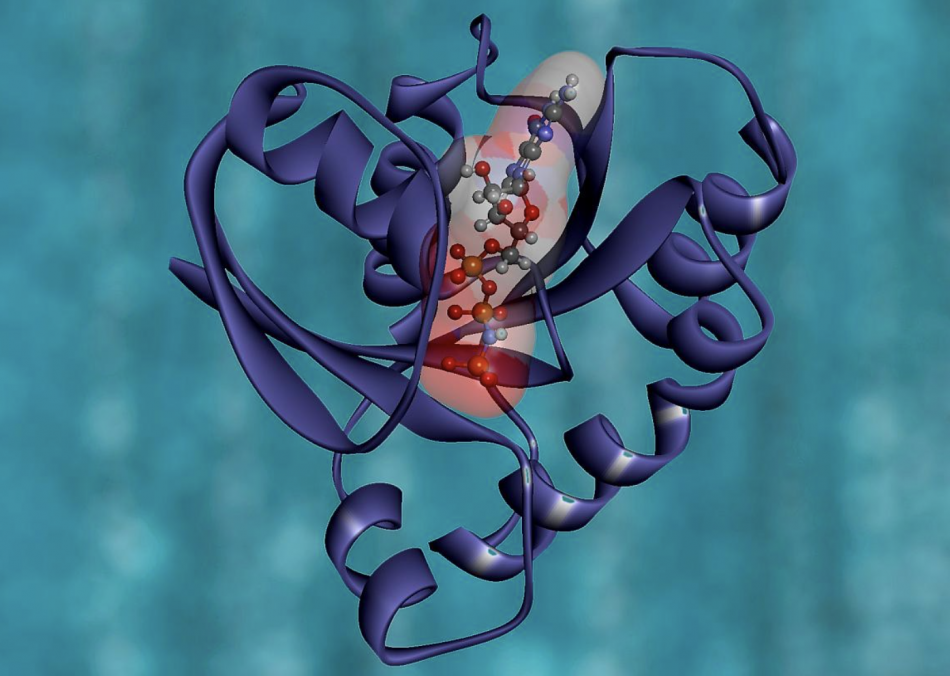 Elisrasib: Next-Gen KRAS G12C Inhibitor Shows Promise in Advanced Lung Cancer Treatment