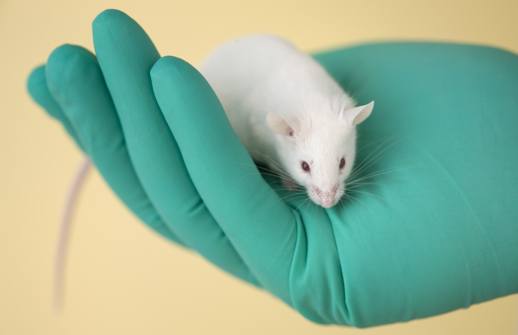 FDA Removes 7 Synthetic Flavoring Substances from Food Additives List