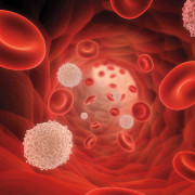 illustrarion of blood cells